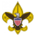 Scouts BSA