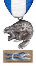 Silver Beaver Award